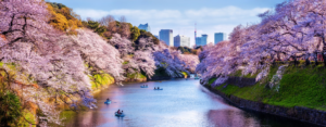 Read more about the article Best places in Tokyo